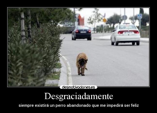 Desgraciadamente - siempre existirá un perro abandonado que me impedirá ser feliz