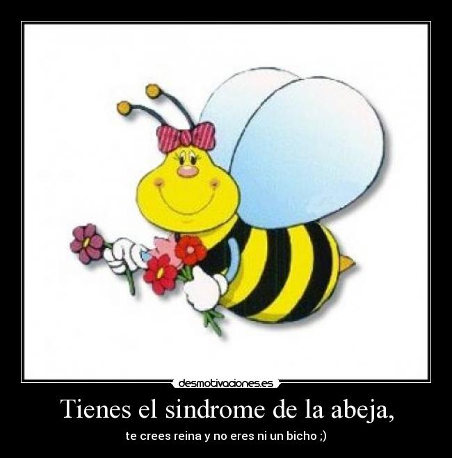 carteles sindorme abeja desmotivaciones