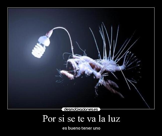 carteles pez bombilla desmotivaciones