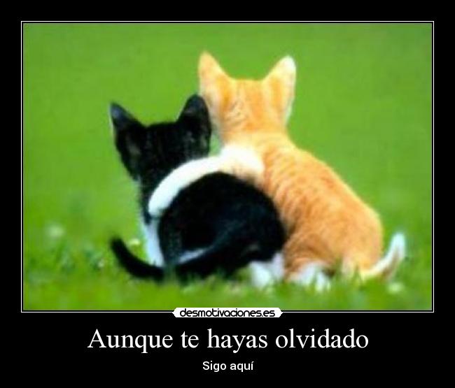 Aunque te hayas olvidado - 