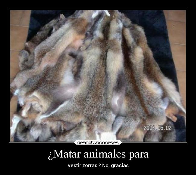 ¿Matar animales para - vestir zorras ? No, gracias