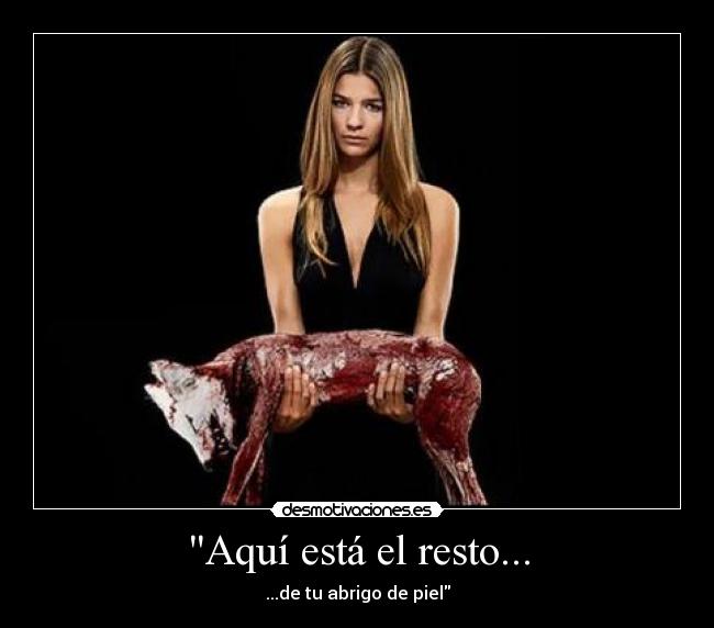 Aquí está el resto... - 