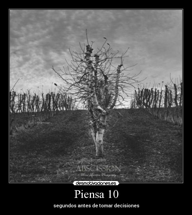 carteles todosaldrabien desmotivaciones