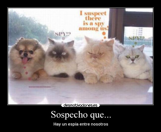 Sospecho que... - Hay un espía entre nosotros