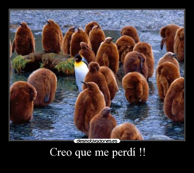 Creo que me perdí !! - 