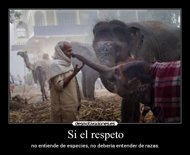 Si el respeto - 