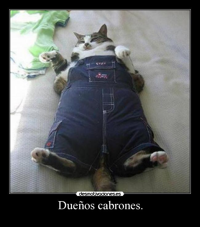 carteles desmotivaciones