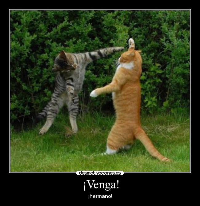 ¡Venga! - 