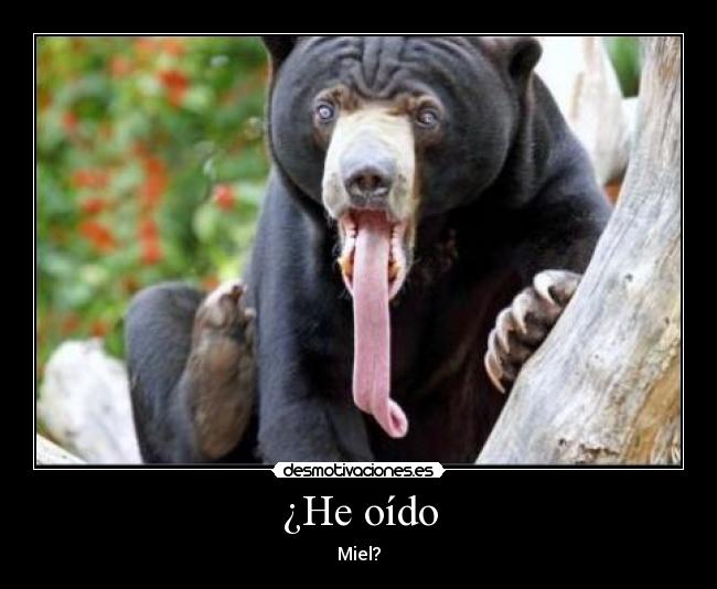 ¿He oído - Miel?