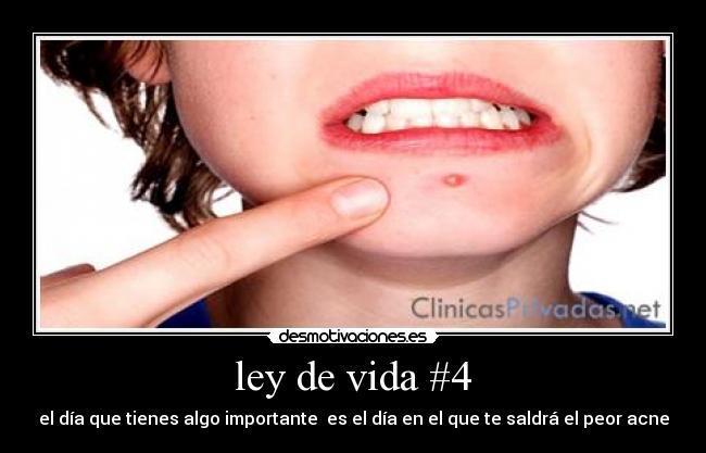 ley de vida #4 - 