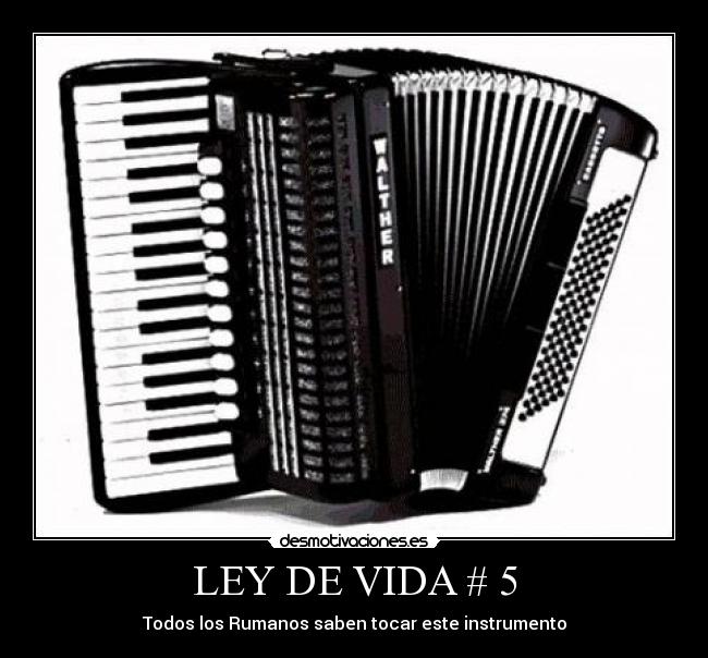 LEY DE VIDA # 5 -
