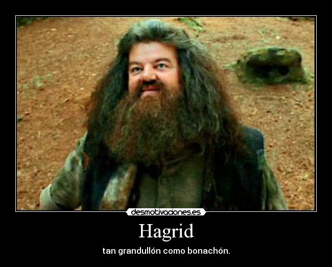 Hagrid - 