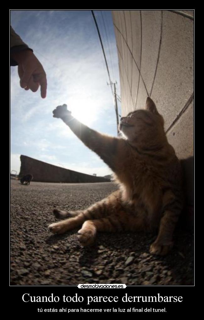 carteles pornoso pero sabes que para mis malos momentos haces sonreir desmotivaciones