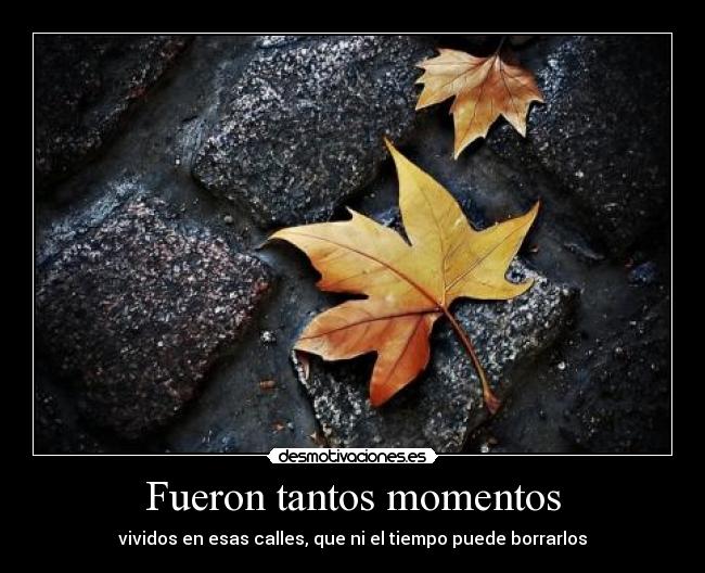 Fueron tantos momentos -