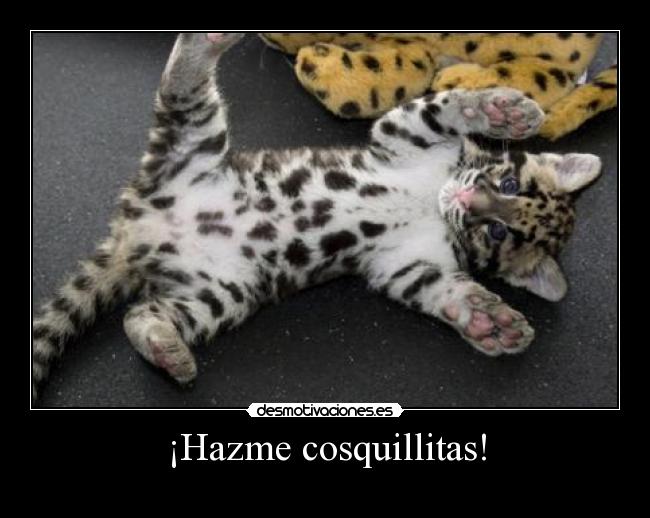 ¡Hazme cosquillitas! - 