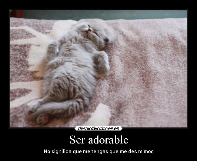 Ser adorable - No significa que me tengas que me des mimos
