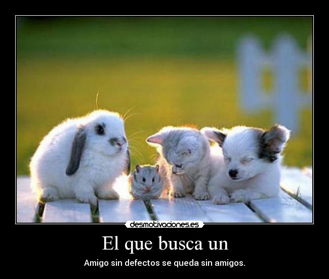 El que busca un - 