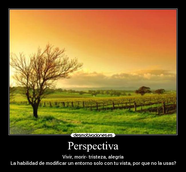Perspectiva - 