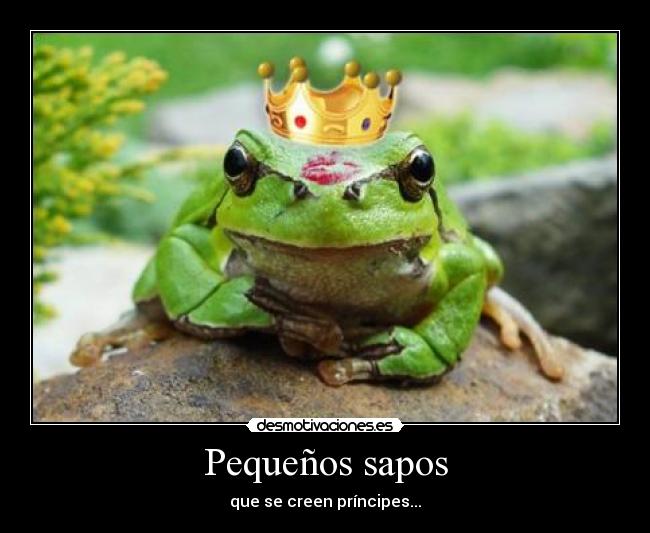 Pequeños sapos - 