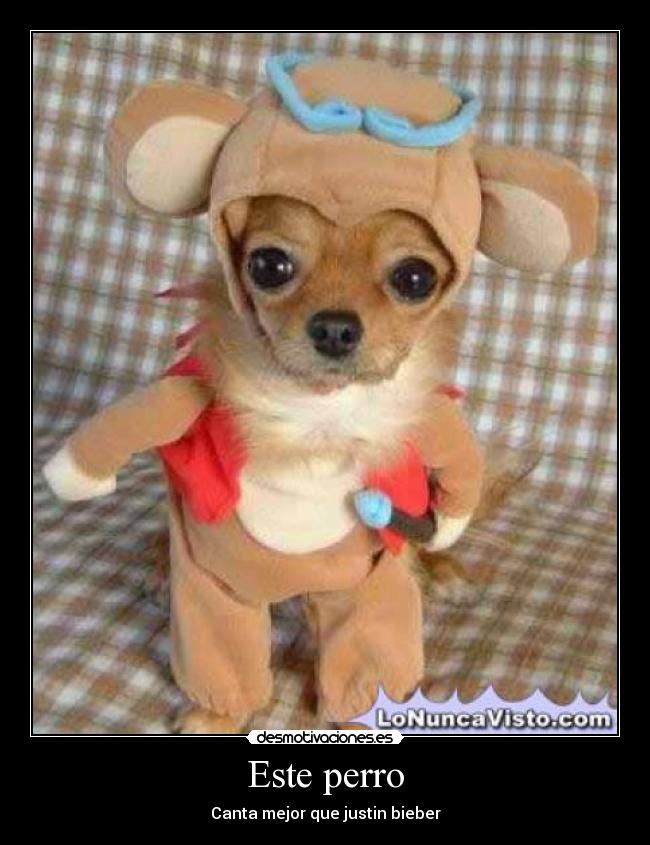 Este perro -