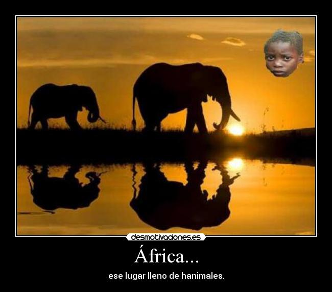 África... - ese lugar lleno de hanimales.