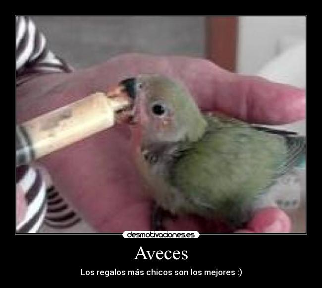 Aveces - 