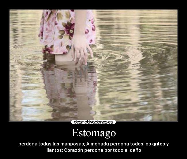 Estomago - perdona todas las mariposas; Almohada perdona todos los gritos y
llantos; Corazón perdona por todo el daño