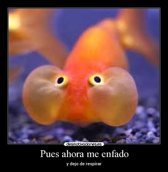 Pues ahora me enfado -