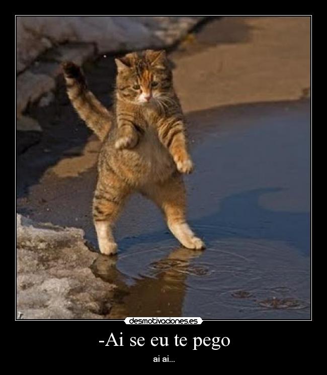 -Ai se eu te pego - ai ai...