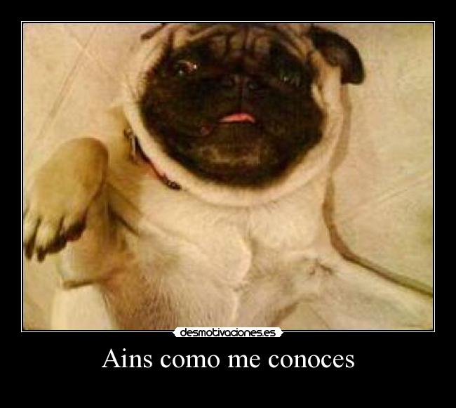 Ains como me conoces - 