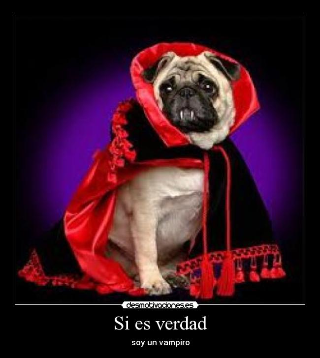 Si es verdad - soy un vampiro