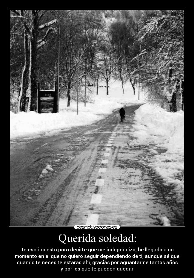 carteles soledad querida soledad desmotivaciones
