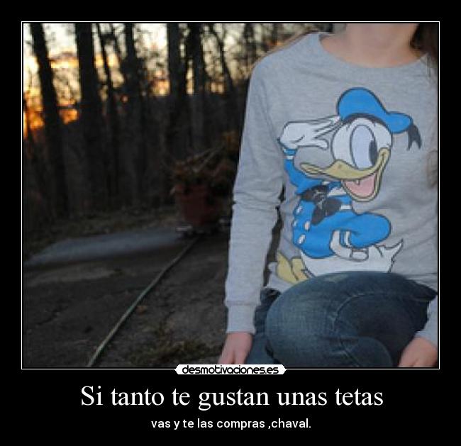 Si tanto te gustan unas tetas - vas y te las compras ,chaval.