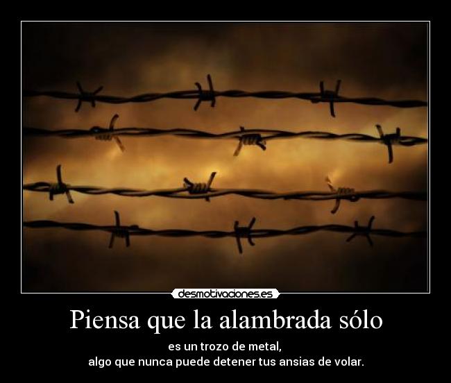 Piensa que la alambrada sólo - es un trozo de metal,
algo que nunca puede detener tus ansias de volar.