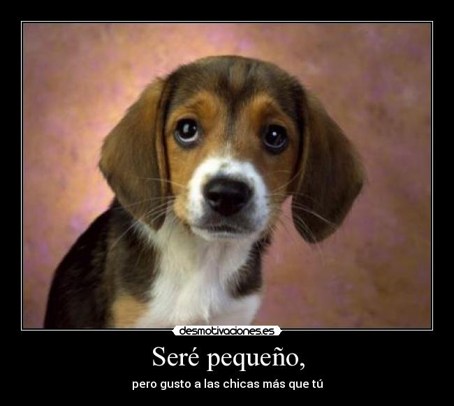 Seré pequeño, -