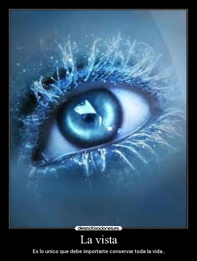 La vista - Es lo unico que debe importarte conservar toda la vida..