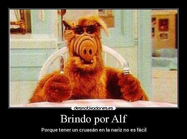 Brindo por Alf - Porque tener un cruasán en la nariz no es fácil