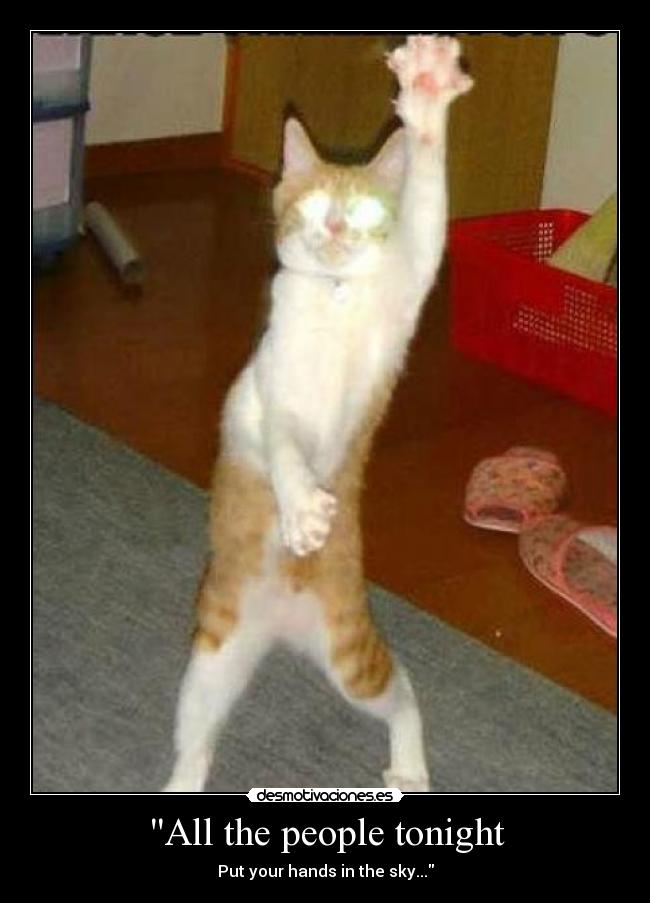 All the people tonight - Put your hands in the sky...