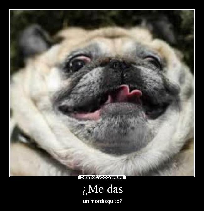 ¿Me das - un mordisquito?