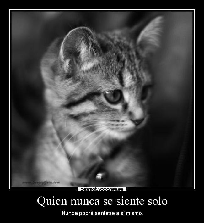 Quien nunca se siente solo - 