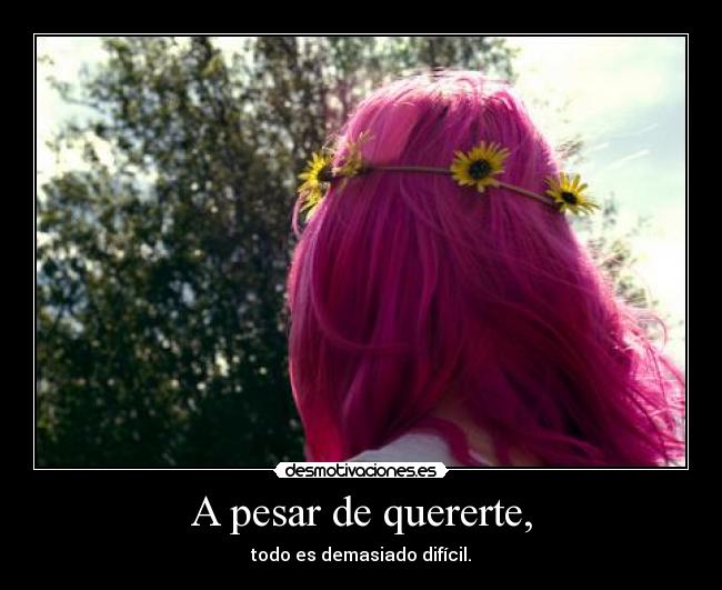 A pesar de quererte, - todo es demasiado difícil.