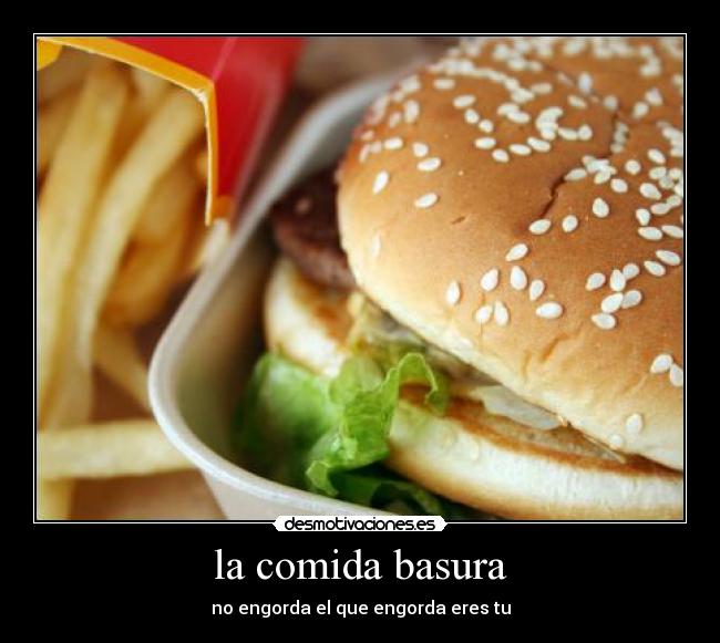 la comida basura - no engorda el que engorda eres tu