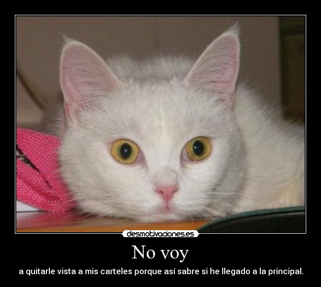 No voy - 