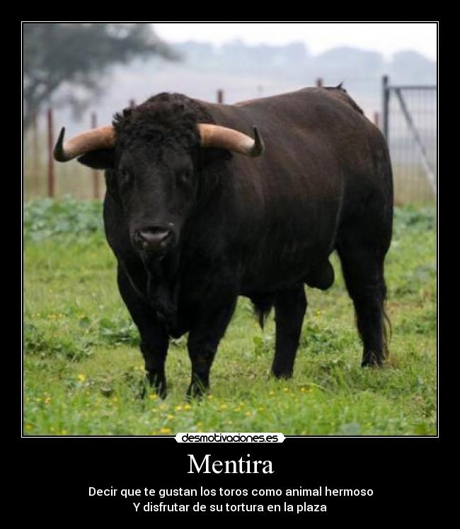 Mentira - Decir que te gustan los toros como animal hermoso
Y disfrutar de su tortura en la plaza