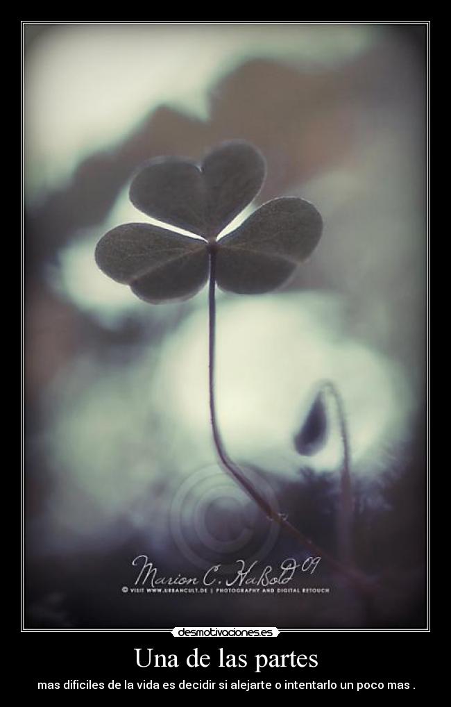 Una de las partes - mas dificiles de la vida es decidir si alejarte o intentarlo un poco mas .