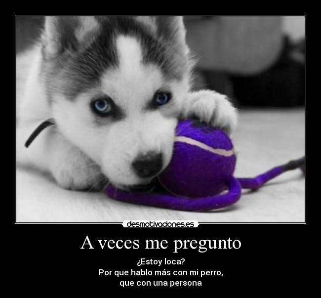 A veces me pregunto - ¿Estoy loca?
Por que hablo más con mi perro,
que con una persona