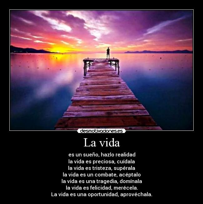 La vida -
