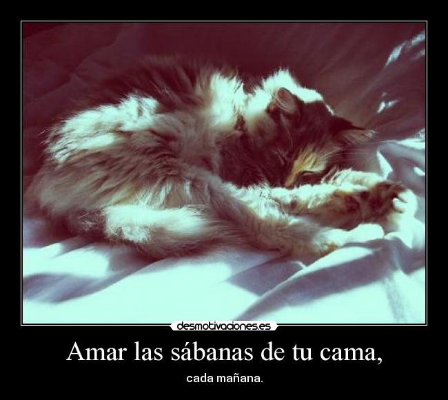 Amar las sábanas de tu cama, -