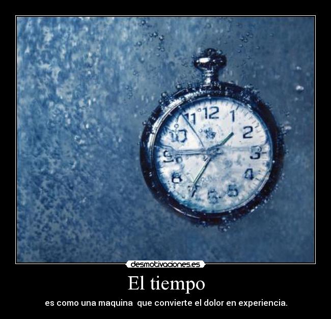 carteles dolor convertido experiencia desmotivaciones