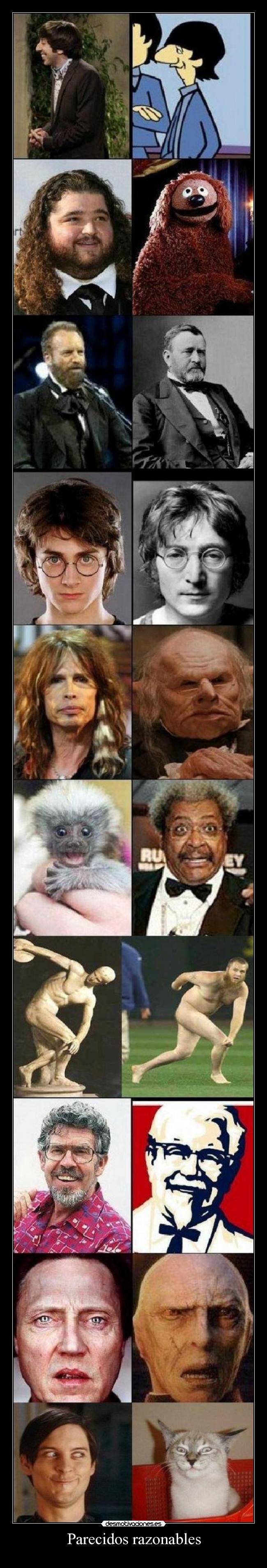 Parecidos razonables - 